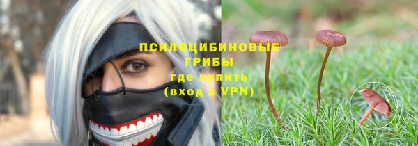 гашик Лагань