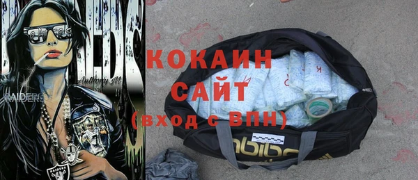 гашик Лагань