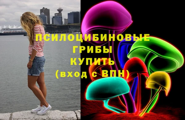 меф Ладушкин
