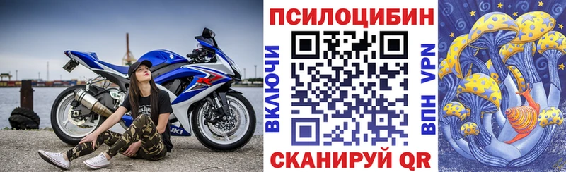 Галлюциногенные грибы Psilocybine cubensis  Купить закладки  Змеиногорск 